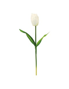 Tulipán con tallo para la decoración de verano en escaparates de tiendas o comercios