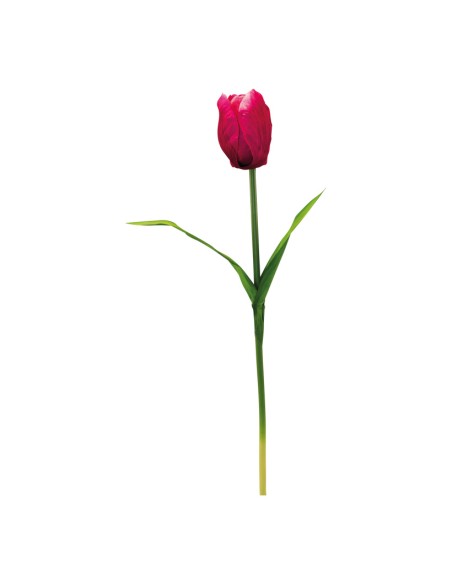 Tulipán con tallo para la decoración de verano en escaparates de tiendas o comercios