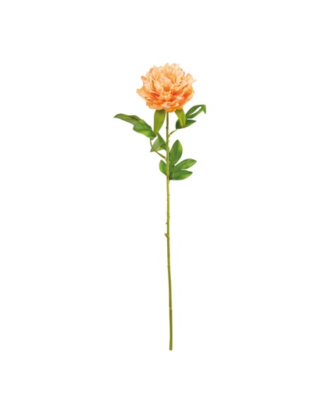 Peonía con tallo para la decoración en del día de los enamorados