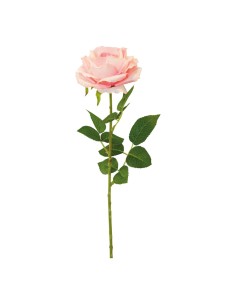 Rosa con tallo para la decoración en del día de los enamorados