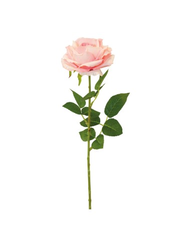 Rosa con tallo para la decoración en del día de los enamorados