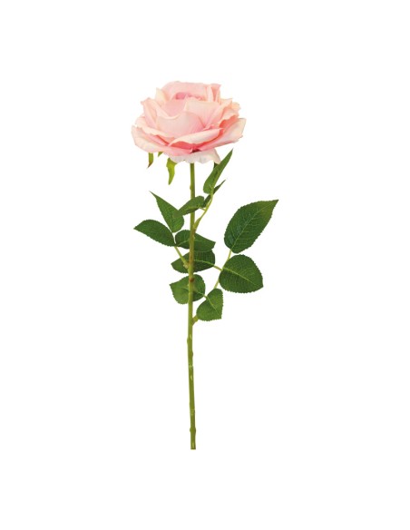 Rosa con tallo para la decoración en del día de los enamorados