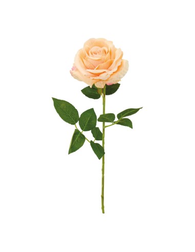 Rosa con tallo para la decoración en del día de los enamorados