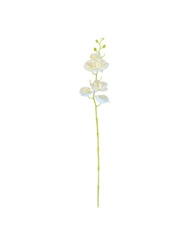 Orquídea con tallo para la decoración de verano en escaparates de tiendas o comercios