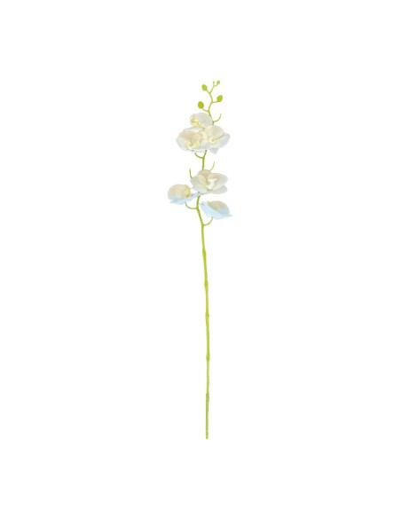 Orquídea con tallo para la decoración de verano en escaparates de tiendas o comercios
