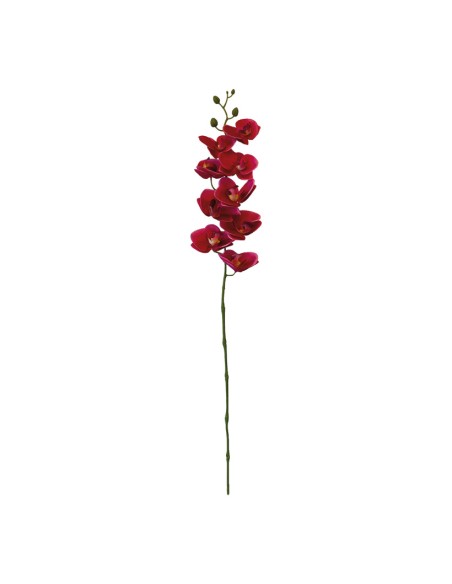 Orquídea con tallo para la decoración de verano en escaparates de tiendas o comercios