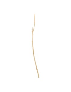 Ramita de madera para la decoración de verano en escaparates de tiendas o comercios