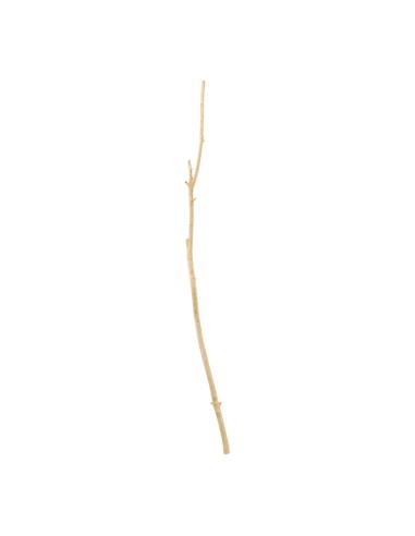 Ramita de madera para la decoración de verano en escaparates de tiendas o comercios