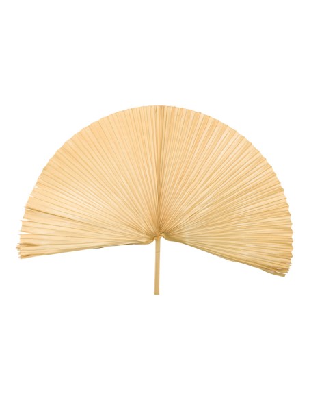 Hoja de palma para la decoración de verano en escaparates de tiendas o comercios
