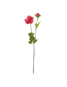Dalia para la decoración de verano en escaparates de tiendas o comercios