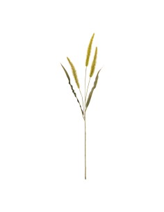 Rama de la umbela para la decoración de verano en escaparates de tiendas o comercios