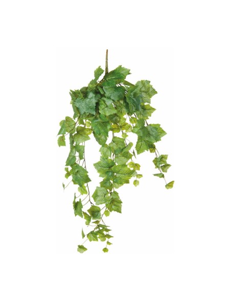 Arbusto de hoja de uva para la decoración de verano en escaparates de tiendas o comercios