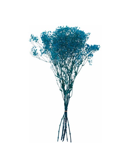 Flores secas para la decoración de verano en escaparates de tiendas o comercios