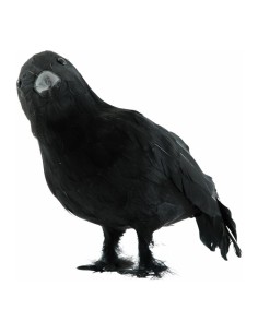 Cuervo para la decoración de verano en escaparates de tiendas o comercios