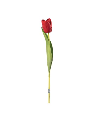 Tulipán en tallo para la decoración de verano en escaparates de tiendas o comercios