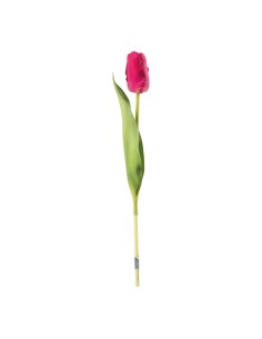 Tulipán en tallo para la decoración de verano en escaparates de tiendas o comercios
