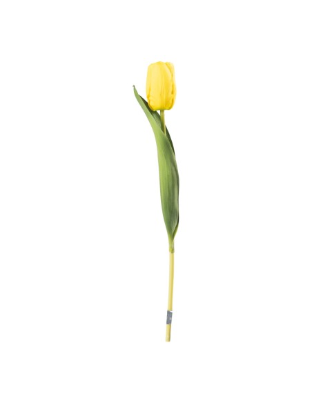 Tulipán en tallo para la decoración de verano en escaparates de tiendas o comercios