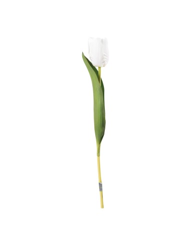 Tulipán en tallo para la decoración de verano en escaparates de tiendas o comercios