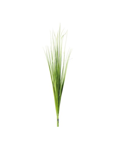 Arbusto de hierba para la decoración de verano en escaparates de tiendas o comercios