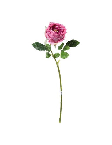Rosa para la decoración en del día de los enamorados