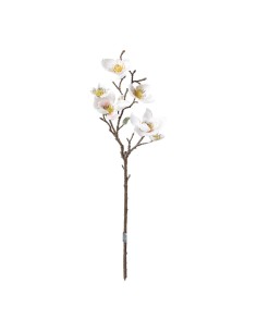 Aerosol de magnolia para escaparates de primavera en tiendas y centros comerciales