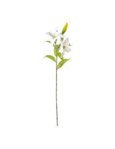 Flor del lirio para la decoración de verano en escaparates de tiendas o comercios