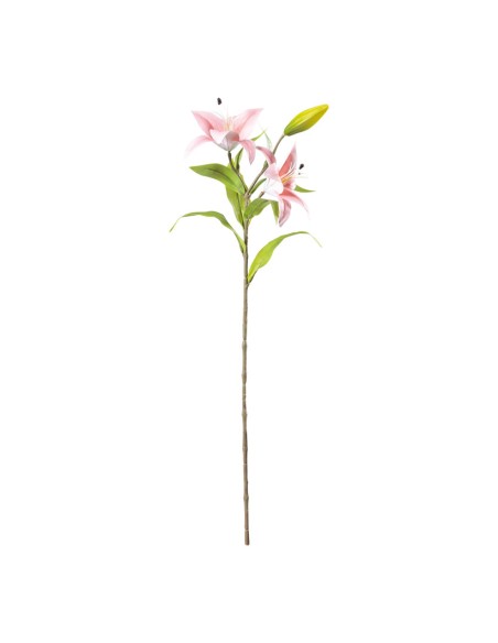 Flor del lirio para la decoración de verano en escaparates de tiendas o comercios
