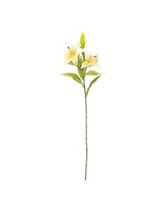 Flor del lirio para la decoración de verano en escaparates de tiendas o comercios