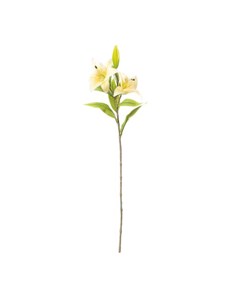 Flor del lirio para la decoración de verano en escaparates de tiendas o comercios