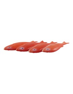 Gris salmonete para la decoración de verano en escaparates de tiendas o comercios