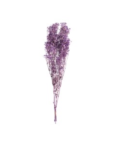 Paquete de secado para la decoración de verano en escaparates de tiendas o comercios