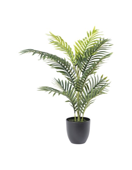 Palma areca para la decoración de verano en escaparates de tiendas o comercios