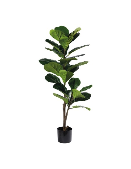 Higuera de violín para la decoración de verano en escaparates de tiendas o comercios