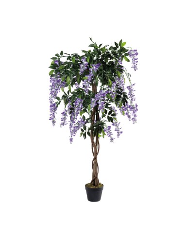 Árbol de glicina en maceta para la decoración de verano en escaparates de tiendas o comercios