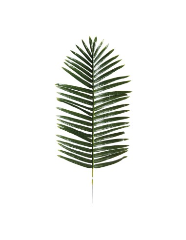 Hoja de palma para la decoración de verano en escaparates de tiendas o comercios