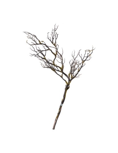 Rama con musgo para la decoración de verano en escaparates de tiendas o comercios