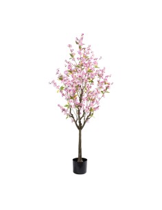 Cerezo en flor en maceta para la decoración de verano en escaparates de tiendas o comercios
