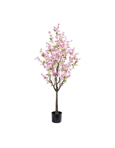 Cerezo en flor en maceta para la decoración de verano en escaparates de tiendas o comercios
