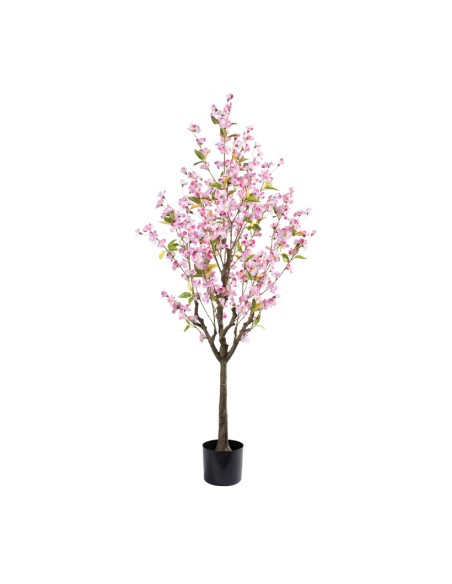 Cerezo en flor en maceta para la decoración de verano en escaparates de tiendas o comercios
