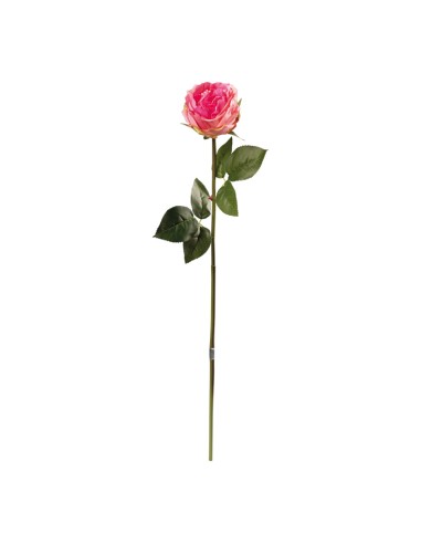 Peonía en tallo para la decoración en del día de los enamorados