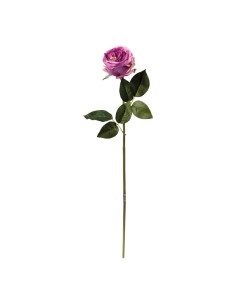 Peonía en tallo para la decoración en del día de los enamorados