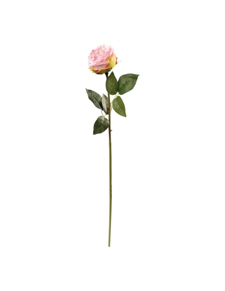 Peonía en tallo para la decoración en del día de los enamorados