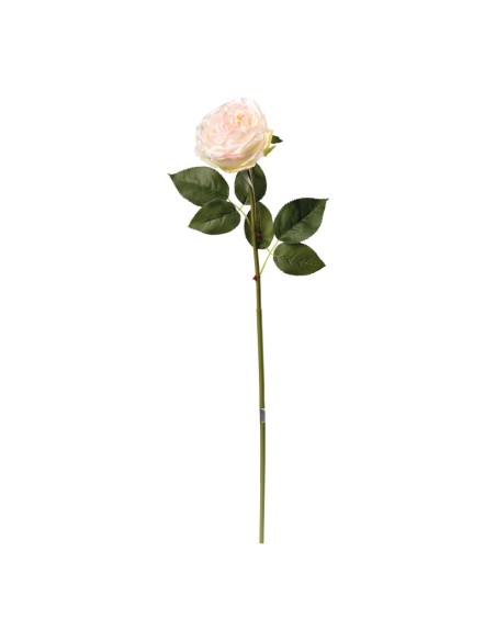 Peonía en tallo para la decoración en del día de los enamorados