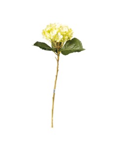Hortensia en tallo para escaparates veraniegos con helados en tiendas