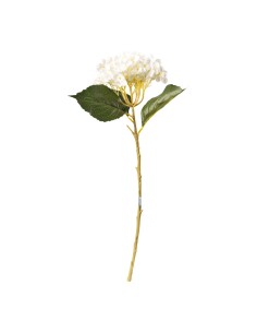 Hortensia en tallo para escaparates veraniegos con helados en tiendas