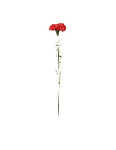Clavel en tallo para la decoración de verano en escaparates de tiendas o comercios