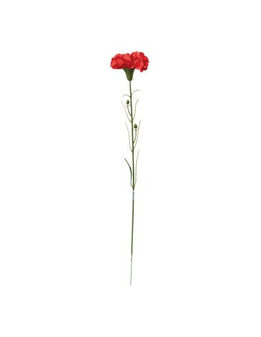 Clavel en tallo para la decoración de verano en escaparates de tiendas o comercios