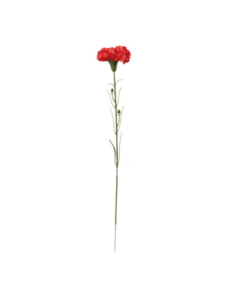 Clavel en tallo para la decoración de verano en escaparates de tiendas o comercios