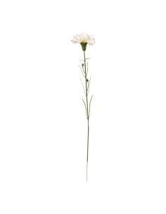 Clavel en tallo para la decoración de verano en escaparates de tiendas o comercios