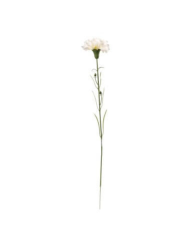 Clavel en tallo para la decoración de verano en escaparates de tiendas o comercios